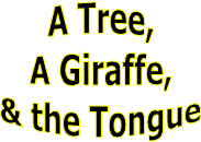 A Tree,
A Giraffe,
& the Tongue